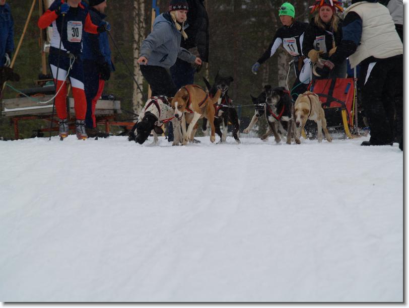 Nästa bild